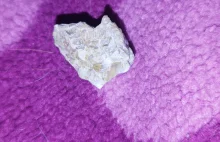 Skamieliny , czy to kryształ ???