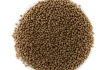 KGS: Niewłaściwy granulat dla ryb od żony dyrektora w KHBC? Kompromitacja