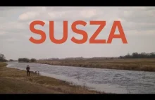 Susza. Narew i Biebrza znikają na naszych oczach