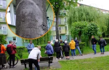 Cud w Parczewie. To nie koniec objawień! "Obraz będzie się zmieniać"