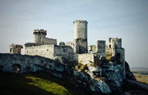 Jak wyglądał zamek średniowieczny? Opis budowy, elementów i wystroju