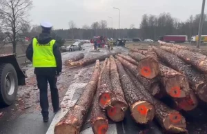 Wielkopolska. Osobówka sprasowana na drodze. Z ciężarówki spadły pnie drzew - Wy