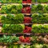 Producenci owoców i warzyw: Zielony Ład to bardziej radykalna ideologia niż idea