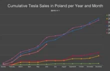 Tesla w Polsce notuje najlepszą sprzedaż od 12 miesięcy. Elektryki z rekordem.