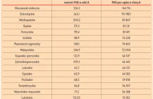 Warszawa liderem, a potem długo nic. Tak wygląda PKB na mieszkańca w Polsce