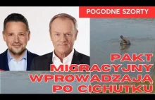 My tu o wyborach, a PAKT MIGRACYJNY sobie wchodzi po cichutku...