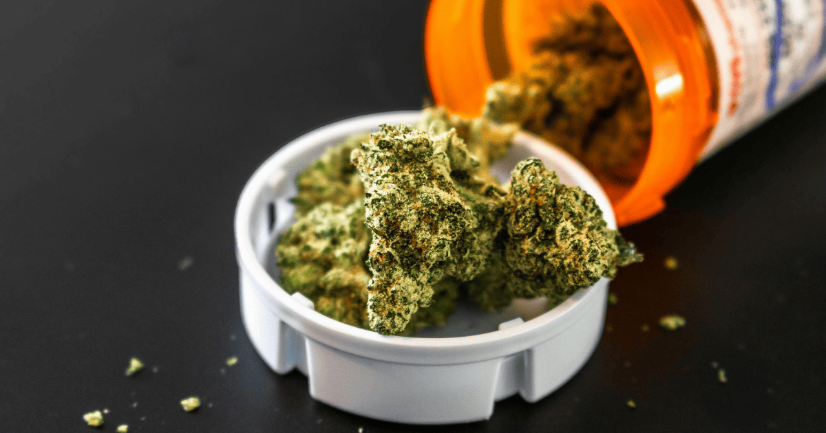 Czy łączyć C-D i THC w terapii?