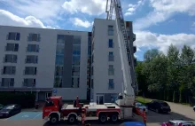 Akcja strażaków w Poznaniu. Ratowali gołębia na dachu budynku