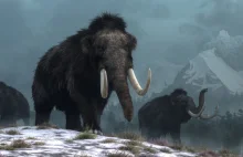 Czy człowiek odpowiada za wyginięcie mamutów? Naukowcy bliscy rozwikłania zagadk