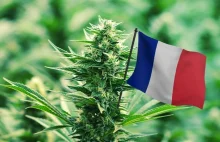 Francja rozpoczęła debatę o legalizacji marihuany | WEEDNEWS.PL | Świat Zielonyc