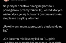 Czat migrantów i przemytników - szanse przejścia do Polski są bliskie zera