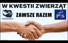 Konfederacja, Religia... Marcin Różal Różalski o tym, co myśli i w co wierzy