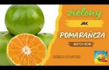 Naturalnym kolorem pomarańczy jest zielony, a wszystkie istnieją dzięki ludziom!