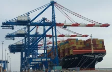 Kontenerowy boom w portowych terminalach. 2025 r. jeszcze lepszy niż 2024 r.