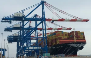 Kontenerowy boom w portowych terminalach. 2025 r. jeszcze lepszy niż 2024 r.