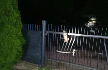 Pożar i zaminowane wejście do posesji. Pułapka na służby!