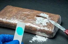 Kokaina za miliony w szafkach kuchennych. Policjanci przechwycili kolosalną iloś