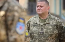 Gen. Załużny o odzyskaniu Krymu: Jak będą środki, nikt mnie nie powstrzyma.