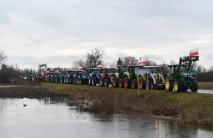 Rząd się ślizga na du polskich rolników. Po zbożu przyjdzie czas na cukier...