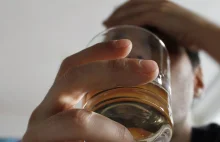 Regularne spożywanie alkoholu jest szkodliwe nawet w małych ilościach
