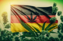 Niemcy dekryminalizują posiadanie 25g marihuany i uprawę 3 roślin w domu