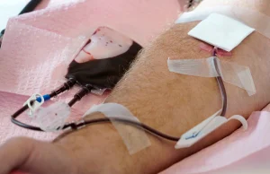 FDA zamierza złagodzić przepisy dotyczące oddawania krwi przez homoseksualistów