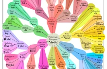 Spółgłoski praindoeuropejskie