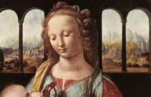 Naukowcy odkryli tajemnicę obrazów Leonarda da Vinci. Mistrz używał składnika, k