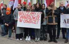 Kilka tysięcy przedstawicieli mniejszości narodowych Litwy maszerowało w niedz