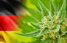 Niemcy dekryminalizują posiadanie i uprawę marihuany, będą także konopne kluby |