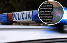 Mężczyzna nakrył złodziei samochodu. Ci przejechali jego psa