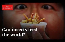 The Economist: Czy wkrótce będziesz jadł owady?