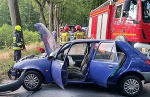 Kot skoczył na kierowcę samochodu. Skutki są drastyczne