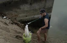 Ograniczenia sprzedaży foliowych torebek zmniejszają ich ilość na brzegach morza