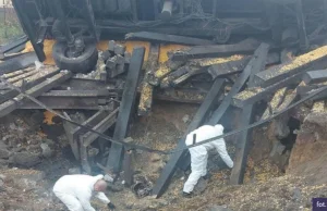 Przypomnienie o Przewodowie i standardowym zachowaniu ukraińskim ()