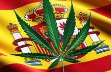 Regulacje medycznej marihuany w Hiszpanii. Czy będzie reforma?