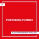 Potrzeba ludzi w Zoo i schronisku przy ul. Ślazowej na Osobowicach do piasku...