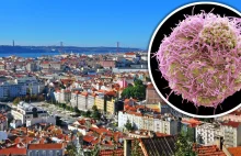 Koszmarna wiadomość z Portugalii. Chodzi o nowy groźny wirus