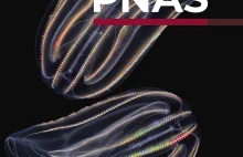 Żebropławy i tajemnica wiecznej młodości