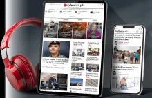 Afera o zagłodzonego psa w Rabce. Urzędniczka oskarżana o bezczynność