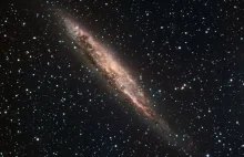 Naukowcy odkrywają nową galaktyczną „skamielinę”