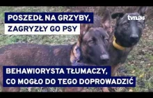 Psy które zabiły mężczyznę wielokrotnie atakowały ludzi