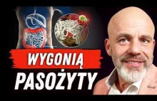 Objawy pasożytów i 5 PRODUKTÓW, które pozbędą się ich z organizmu