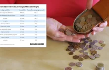 Portfel polskiego emeryta bez tajemnic. Zobacz, jak żyją seniorzy [EMERYTURA, WY