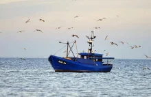 "UE negocjuje limity połowów na Bałtyku"