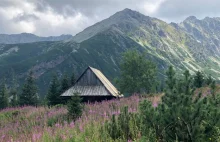 Prawie 3 mln turystów do końca lipca. Tatry biją rekord popularności