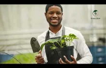 The Magic of Golden Pothos: How This Plant Can Transform Your Space