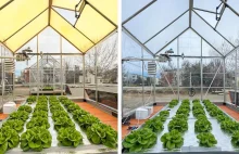 Opracowano szkło zwiększające plony w szklarniach