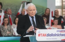 Kaczyński szokuje słowami o kursie euro. Mówił o "prawdziwej wartości".