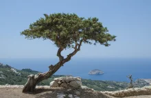 Grecki rząd oferuje darmowe wakacje na Rodos dla turystów